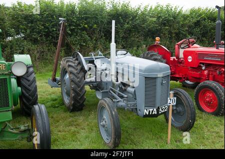 Vintage Grey Ferguson TE20 Tractor at Chagford Agricultural Show Stock Photo