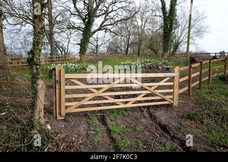 Old and replacement five bar gates and fence Stock Photo