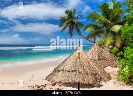 Tropical Paradise Sunny beach with palm and turquoise sea in exotic island Stock Photo