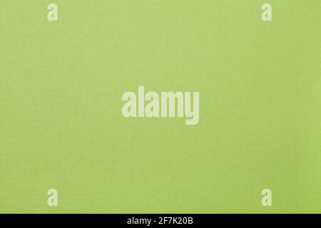 Light green textured paper background Stock Photo