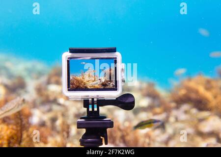 Using action-camera in waterproof box to make photos and video underwater in live-view mode Stock Photo