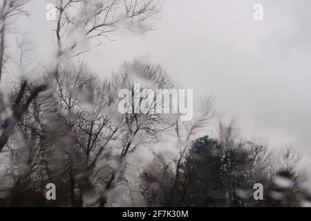 Water Drops on Window at a Rainy Day; Trees in a Cloudy Weather Stock Photo