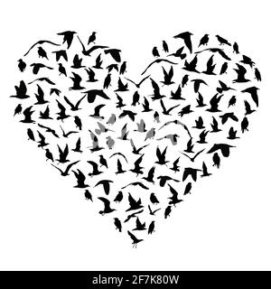 I love birds concept with silhouettes of birds in heart shape Stock Vector
