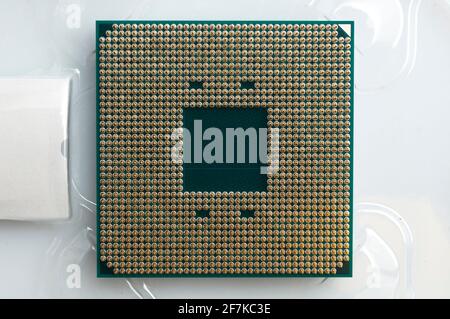 Gold metal pin on a computer processor (cpu) Stock Photo