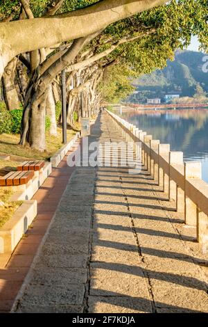 Inside view of a city park in Xiamen, China. Stock Photo