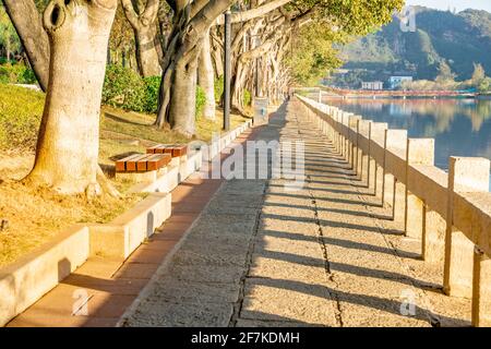 Inside view of a city park in Xiamen, China. Stock Photo