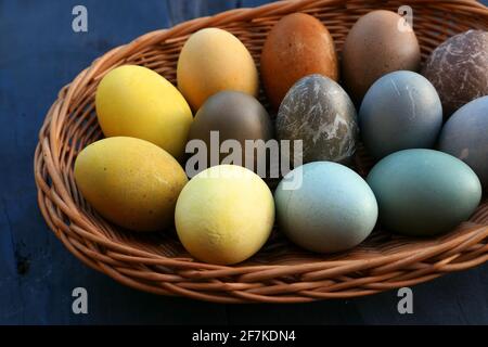 Naturally dyed Easter eggs in the basket. Close up of colorful Easter eggs. Stock Photo