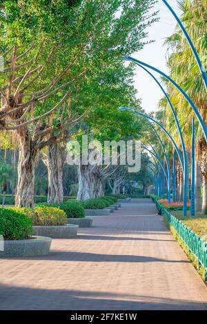 Inside view of a city park in Xiamen, China. Stock Photo