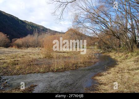 Arrow River, Arrowtown, New Zealand Stock Photo