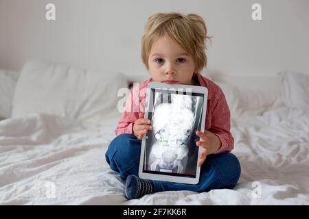 Toddler child, blond boy, holding x-ray picture on tablet of child body with swallowed magnet showing, child swallow dangerous object Stock Photo