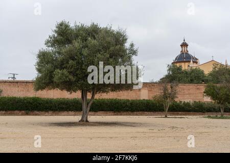 La cartuja del Puig de Santa María en Valencia Stock Photo