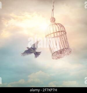 Bird escaping from the cage. Concept image.