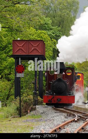 'Fiji' entering Beddgelert Station. Stock Photo