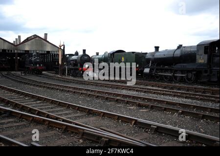 Left to right :- '1466', '30120', 'Burton Agnes Hall' and '3822' on shed at Didcot.