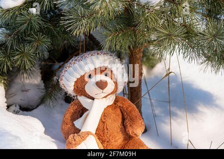 A stuffed toy teddy bear wearing a scarf and a hat sits on snow in the winter forest on a sunny day. Stock Photo