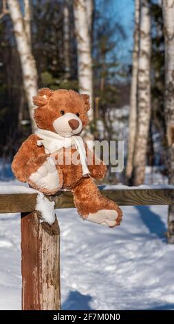 A stuffed toy teddy bear in a knitted scarf sits on a wooden fence in the winter forest on a sunny day. Stock Photo