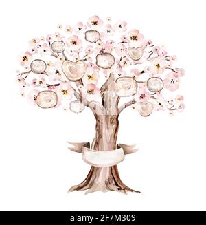 An old bountiful olive tree extracted, hand drawn - watercolor ...
