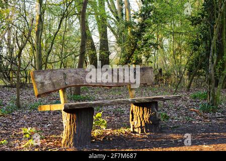 Rustic park bench - dawn at Castle Close nature reserve, Sharnbrook, Bedfordshire, England, UK Stock Photo