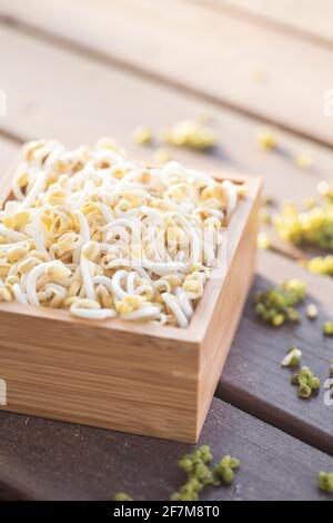 Mung bean sprouts on wooden tray Stock Photo