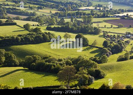 Farmland in the Severn Vale near Far Green, Coaley, Gloucestershire UK Stock Photo
