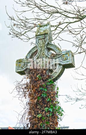 A Celtic cross grave memorial being slowly covered by ivy in an old Irish graveyard Stock Photo