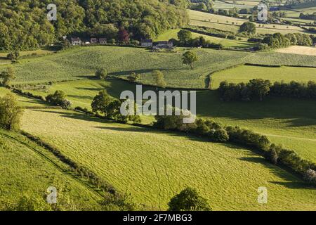 Farmland in the Severn Vale near Far Green, Coaley, Gloucestershire UK Stock Photo