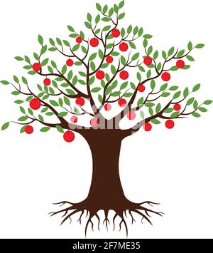 Apple tree vecor Fruit tree illustration isolated on white background Stock Vector