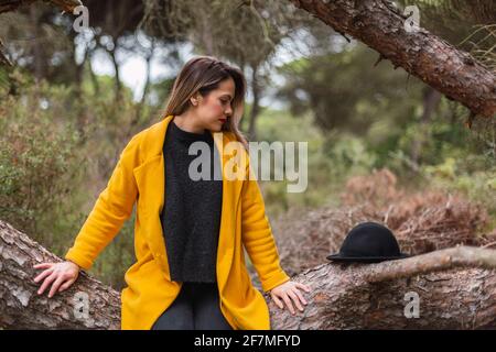Woman sitting in a tree with a yellow coat in the forest or park in spring. Hat on top of tree Stock Photo