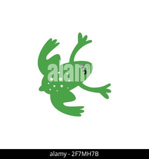 Little frog. Vector illustration of a cute little frog. Stock Vector
