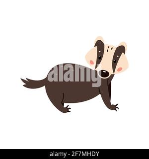 Badger on a white background. Forest animal. Vector illustration of Brock mammal species. Stock Vector