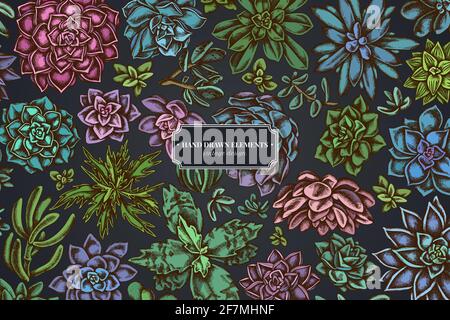 Floral design on dark background with succulent echeveria, succulent echeveria, succulent Stock Vector
