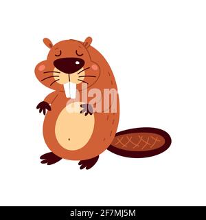 Funny cartoon beaver on a white background. Vector illustration. Stock Vector