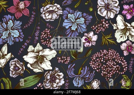 Floral design on dark background with anemone, lavender, rosemary everlasting, phalaenopsis, lily, iris Stock Vector