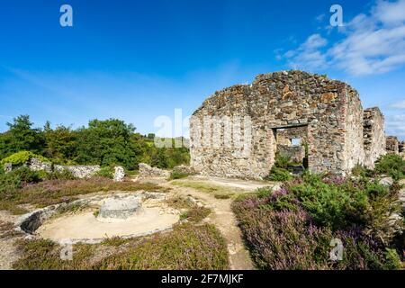 Historic mining remains at Poldice Valley near St Day and Redruth Cornwall England UK Europe Stock Photo