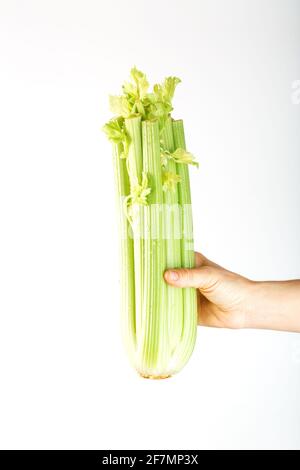 Fresh celery at arm's length. on a white background. Free space. The concept of healthy vegetarian food. Stock Photo