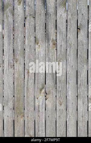A weathered gray wood fence nailed down with rusty nails. Old wood texture in sunlight. Vertical image. Stock Photo