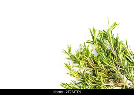 Fresh rosemary leaves isolated on white background with top left copy space Stock Photo