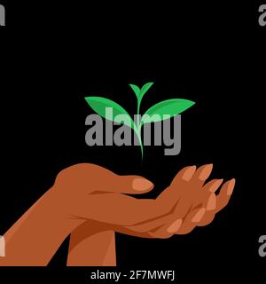The female hand carefully holds the green sprout of the plant. Vector illustration on black background Stock Vector
