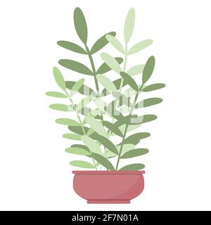 Plant leaves in a pot, beautiful green houseplant isolated vector. Stock Vector