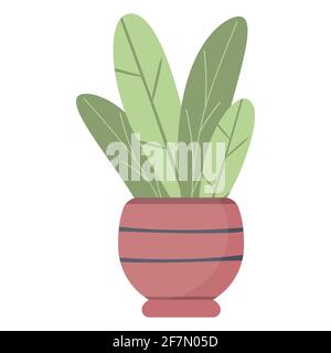 Plant leaves in a pot, beautiful green houseplant isolated vector. Stock Vector
