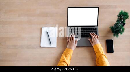 An open laptop with a blank white screen stands on the table, the female hands of an African-American woman are typing on the keyboard, a notepad, a smartphone and a flowerpot lie nearby. Copy space Stock Photo
