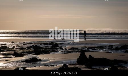 someone walking their 2 dogs along Borth beach next to the petrified forest Stock Photo