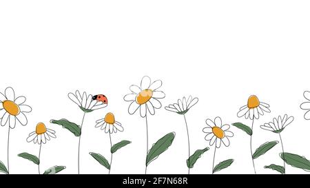 Seamless border of daisies hand drawn in simplified children cartoon naive style on white background.Cute ladybug sitting on flower.For design of webs Stock Vector