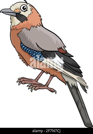 Cartoon illustration of jay bird comic animal character Stock Vector
