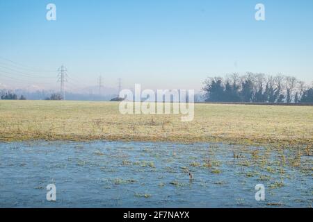 panorama with a beautiful bicolor landscape in the background you can see the mountains and various trees in the forest. Stock Photo