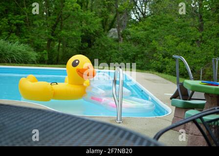 yellow duck inflatable floating in a backyard swimming pool Stock Photo