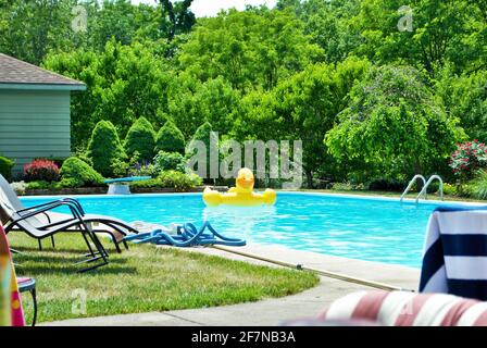 yellow duck inflatable floating in a backyard swimming pool Stock Photo