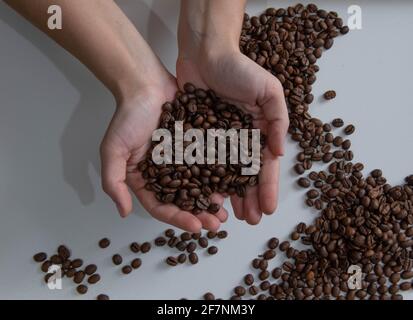 coffee beans in hands lie on the table Stock Photo