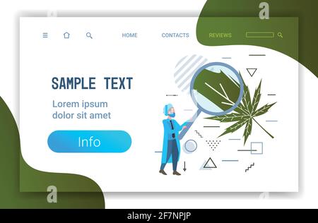 male researcher using magnifier for checking marijuana leaf healthcare pharmacy medical cannabis concept horizontal full length copy space Stock Vector
