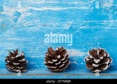 Three pine cones on blue wooden background with copy space Stock Photo